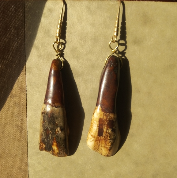 Pennyroyal Jewelry - Genuine American Buffalo Tooth Earrings